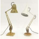 Two vintage Anglepoise lamps including a gold coloured marbleised example by Herbert Terry &