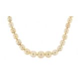 Single string graduated pearl necklace with diamond clasp, 38cm in length, 10.5g : For Further