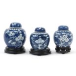 Three Chinese blue and white porcelain ginger jars with covers on stands, each hand painted with