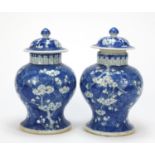 Pair of Chinese blue and white porcelain baluster vases with covers, each hand painted with prunus