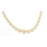 Freshwater pearl necklace with a 9ct white gold diamond clasp, 45cm in length : For Further