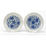 Pair of Chinese blue and white porcelain shallow dishes, each hand painted with flowers heads
