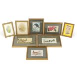 Eight woven silk pictures including five bird examples by Cash's, each mounted and framed, the
