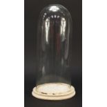 Victorian taxidermy interest glass dome on stand, 47.5cm high : For Further Condition Reports,