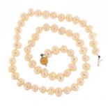 Pink fresh water pearl necklace with 9ct gold clasp, 44cm in length, 37.6g : For Further Condition