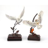 Two Albany Fine Arts hand painted porcelain and bronze birds raised on mahogany plinth bases,