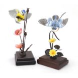 Two Albany Fine Arts hand painted porcelain and bronze birds raised on mahogany plinth bases,