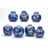 Seven Chinese blue and white prunus pattern porcelain ginger jars, four with covers, each with marks