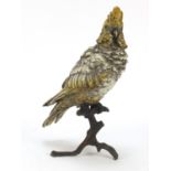 Large cold painted bronze parrot in the style of Franz Xaver Bergmann, 30cm high : For Further
