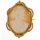 Victorian cameo brooch with gilt metal mount, depicting a bust of a female, 5cm x 3cm, 7.9g : For