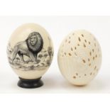 Two ostrich eggs one with ink drawn lion the other with pierced rhinoceros ,the largest 17cm
