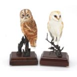 Two Albany Fine Arts hand painted porcelain and bronze owls raised on mahogany plinth bases,