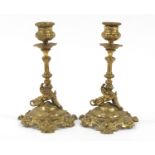 Pair of 19th century classical brass griffin design candlesticks, each 18.5cm high : For Further