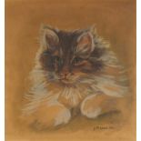JM Ward 1914 - Young kitten, watercolour, framed, 33cm x 35.5cm : For Further Condition Reports,