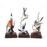 Three Albany Fine Arts hand painted porcelain and bronze birds raised on mahogany plinth bases,
