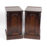Pair of Victorian mahogany pedestal night stands with arch shaped panelled doors and scroll