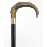 Ebonised walking stick with rhinoceros horn handle and silver plated collar, 83cm in length : For