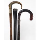 Three walking sticks comprising one with horn handle and two with silver mounts, the largest 94cm in
