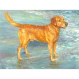 Golden Retriever on beach, oil on board, mounted and framed, 50cm x 38cm excluding the frame : For