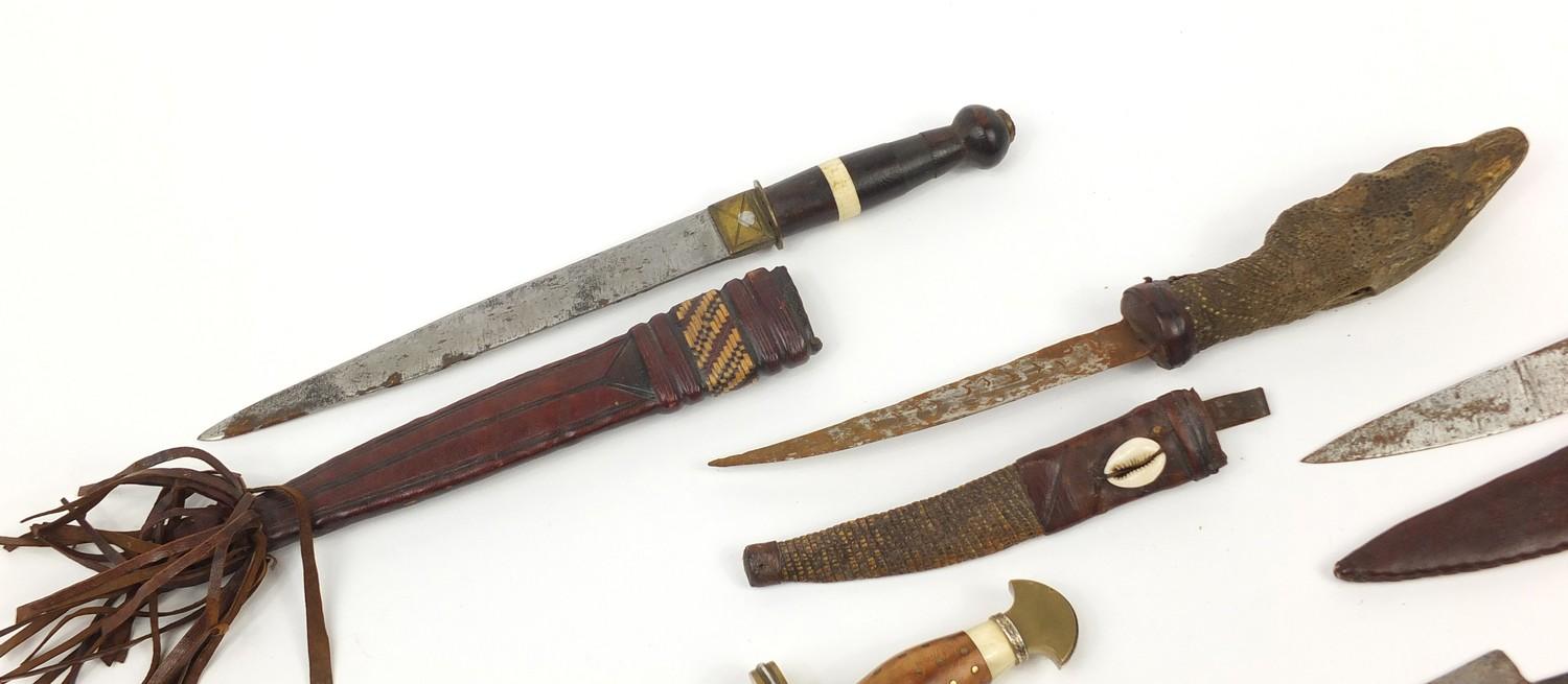 Seven daggers including a taxidermy interest example with lizard head handle, the largest 35cm in - Image 2 of 9