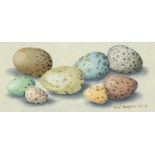 Manner of Eliot Hodgkin - Still life eggs, tempera on card, mounted, framed and glazed, 33.5cm x
