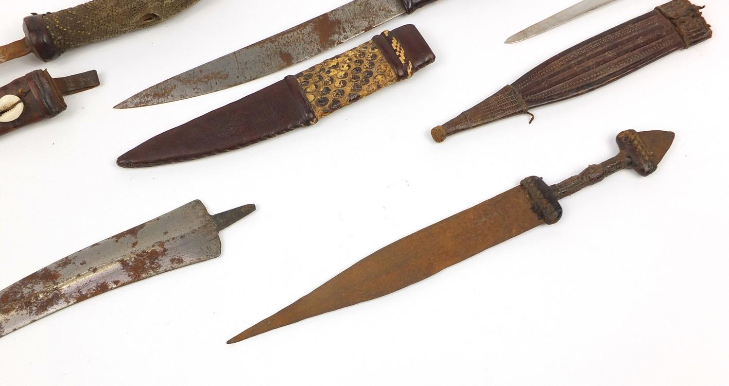 Seven daggers including a taxidermy interest example with lizard head handle, the largest 35cm in - Image 5 of 9