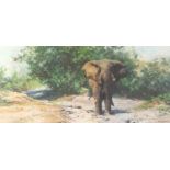 David Shepherd - Tembo Mzee, pencil signed print in colour, limited edition 513/850, mounted, framed
