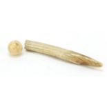 Ivory walrus tooth and a billard ball, the largest 27cm in length : For Further Condition Reports