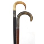 Edwardian malacca and ebonised walking sticks with horn handles, one with with silver collar,