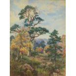 Landscape with trees, 19th century watercolour, part label verso, mounted, framed and glazed, 58.5cm