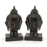 Pair of patinated bronze Chinese deity heads raised on plinth bases, 22cm high : For Further