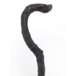Rustic gnarled walking stick, reputedly from the property of Bud Flanagan, 83cm in length : For