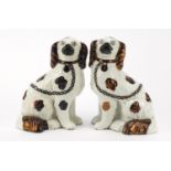 Pair of Staffordshire style seated Spaniels, 23cm high : For Further Condition Reports Please