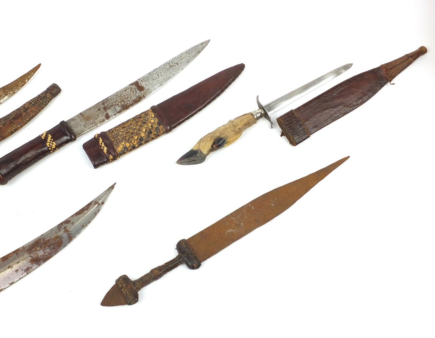 Seven daggers including a taxidermy interest example with lizard head handle, the largest 35cm in - Image 8 of 9