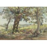 May Marshall Brown - In the wood, inscribed Scottish Society a Woman's Artist label verso,