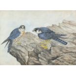 K J Wood 1969 - Two falcons on rocks, signed gouache, framed, 52cm x 37cm excluding the frame :