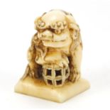 Chinese carved ivory Shishi lion, 3.8cm high
