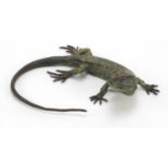 Large Austrian cold painted bronze lizard in the style of Franz Xaver Bergmann, 25cm wide