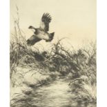 Roland Clark - Season's end, pencil signed dry point etching, reproduced in Talio-Crone, mounted and