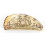 Scrimshaw ivory sperm whale's tooth carved with a female and shipping scene, 15cm high