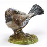 Crown Staffordshire hand painted porcelain jay, 23cm in length
