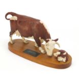 Beswick Connoisseur model Hereford Cow and Calf, raised on an oval lightwood base, 35cm wide