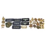 British military cloth patches, cap badges and buttons including The British Columbia Dragoons,
