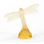 Lalique amber glass dragonfly etched Lalique France, 9cm high