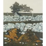 Phil Greenwood 1978 - Field walls, pencil signed etching in colour, limited edition 19/150, framed