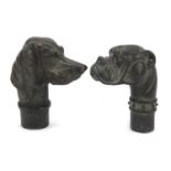 Two patinated bronze dog head design walking stick handles, the largest 7.5cm high