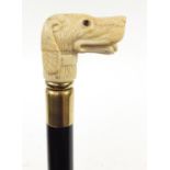 Hardwood walking stick with carved bone dog head design handle, 88.5cm in length
