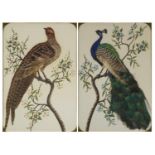 Two birds, pair Chinese school of watercolour and collages, mounted, framed and glazed, each 46cm