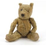 Antique golden teddy bear with jointed limbs, 51cm high