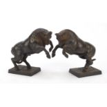 Pair of patinated bronze raging bulls, signed Farbel, each 18cm in length